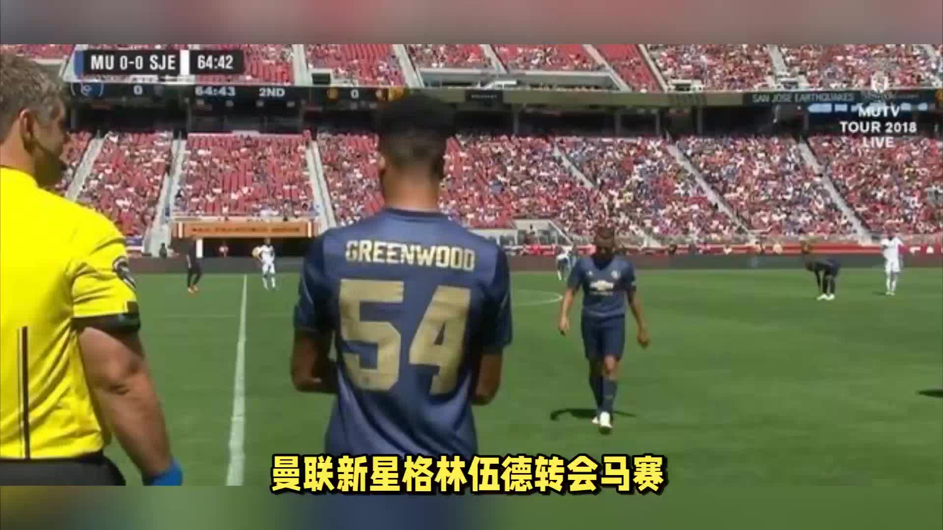 化这种双